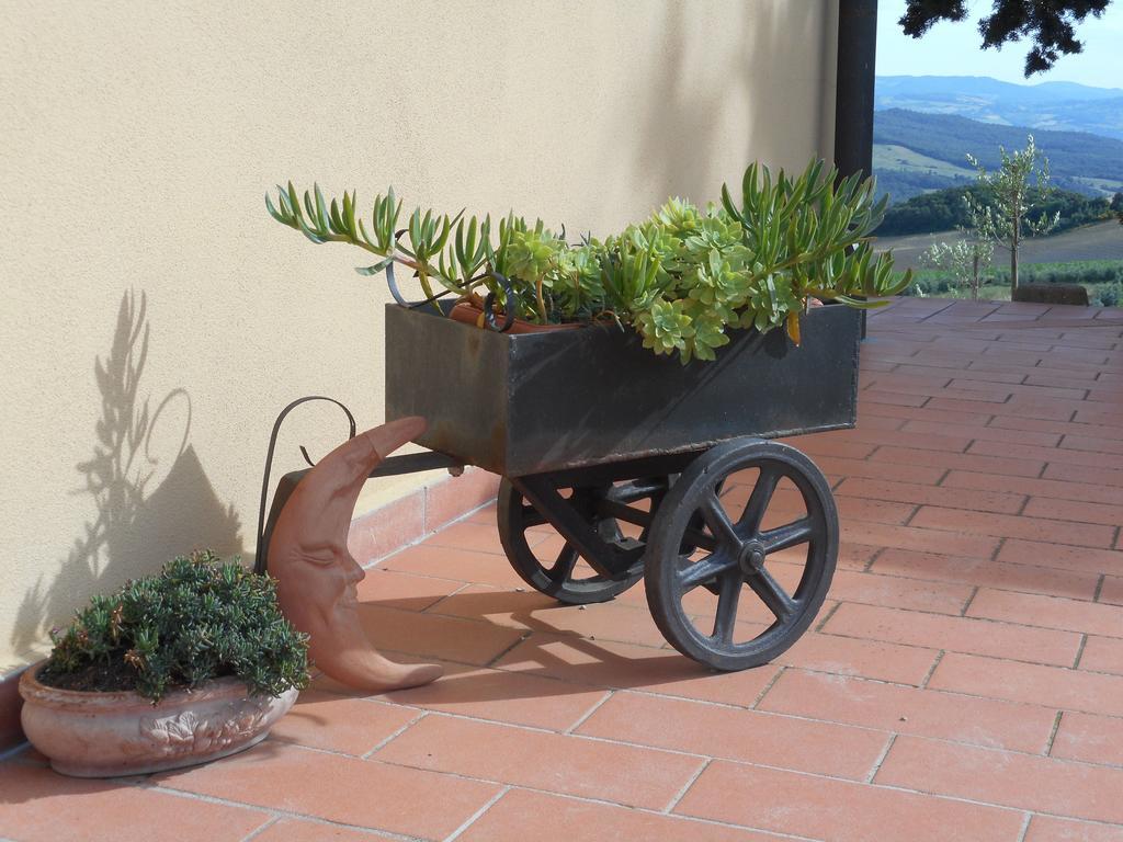Agriturismo Santa Bruna Volterra Luaran gambar