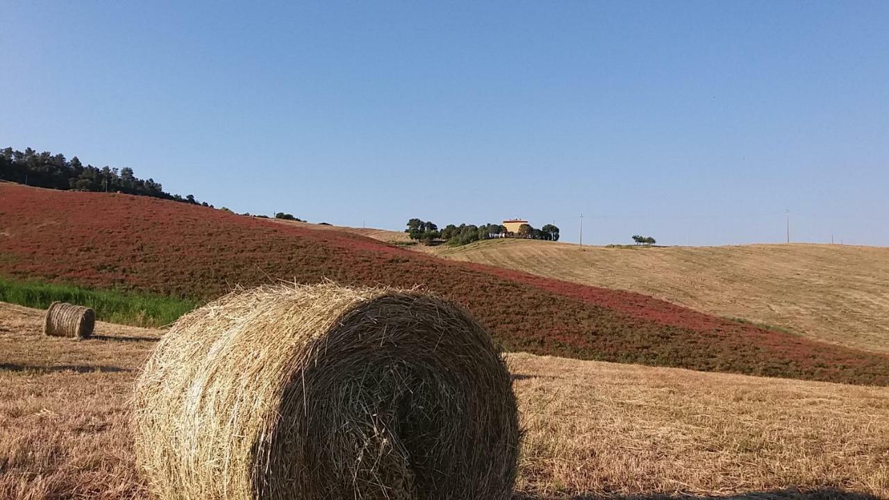 Agriturismo Santa Bruna Volterra Luaran gambar